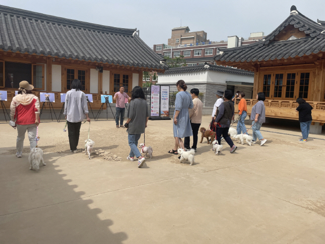 반려견 관리