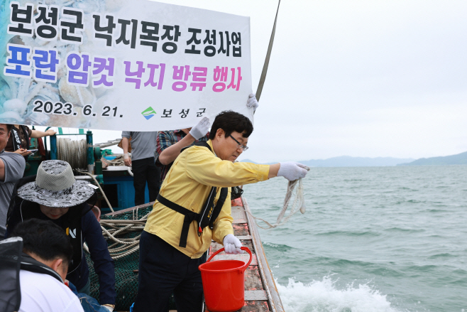 보성군