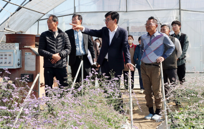 장평 화훼류 재배농사 현장방문