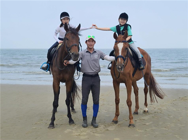 전남도