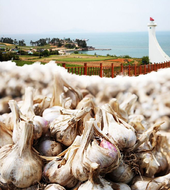 전남도