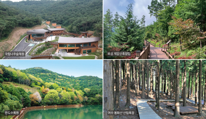 전남도
