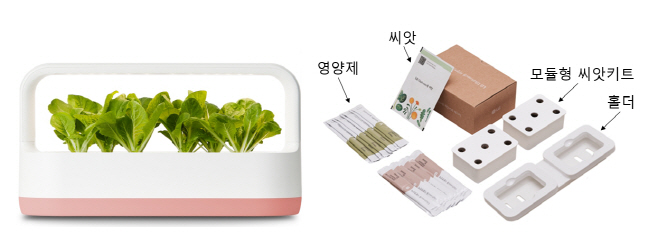 [사진4] LGE_틔운미니