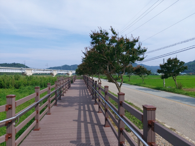 사진1. 백일홍거리 안전데크 사진