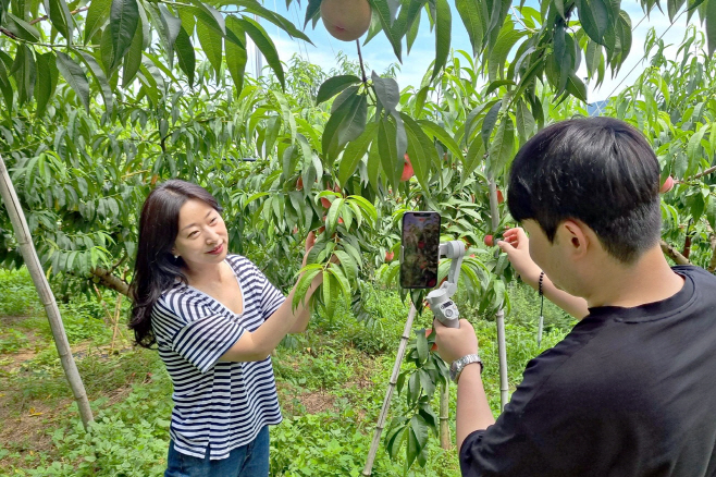 롯데홈쇼핑