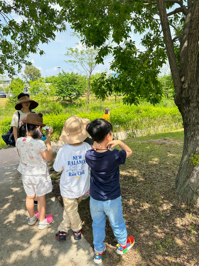 여름과놀아요