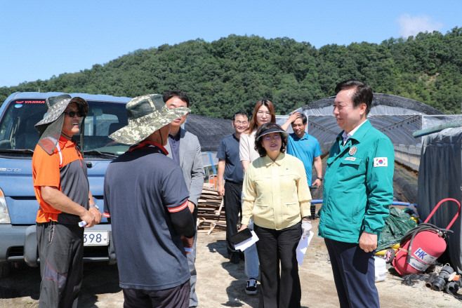 0720-2 안동시 우량 지황 종근 생산