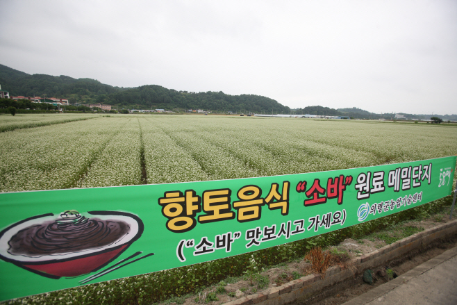 #1. 230720 보도사진1(2012년 의령읍 동동 들녘)