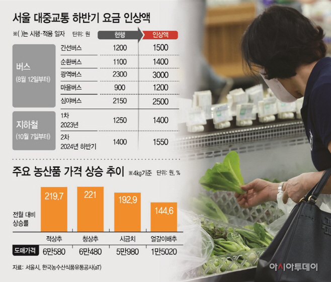 대중교통 비용