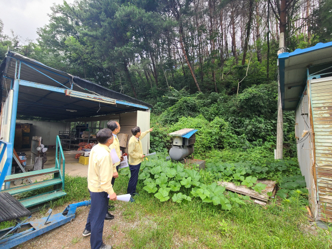 창녕군수 현장점검 1