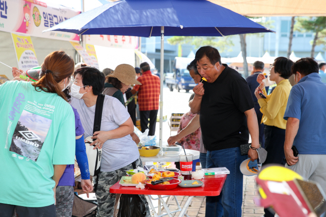 제26회햇사레장호원복숭아축제