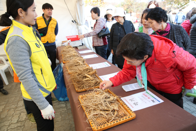 제4회 인삼축제