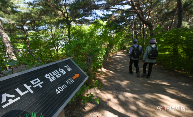 남산 소나무 힐링숲1