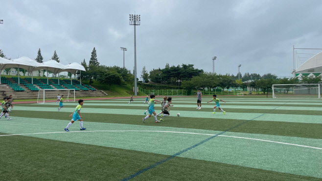 2023 하계 전국 초등부 축구 리그