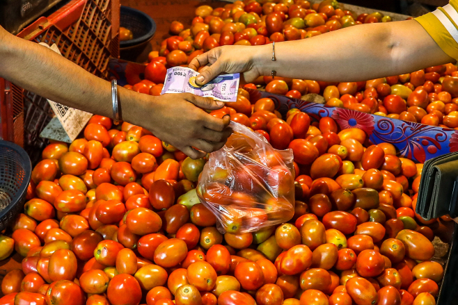 INDIA TOMATOES