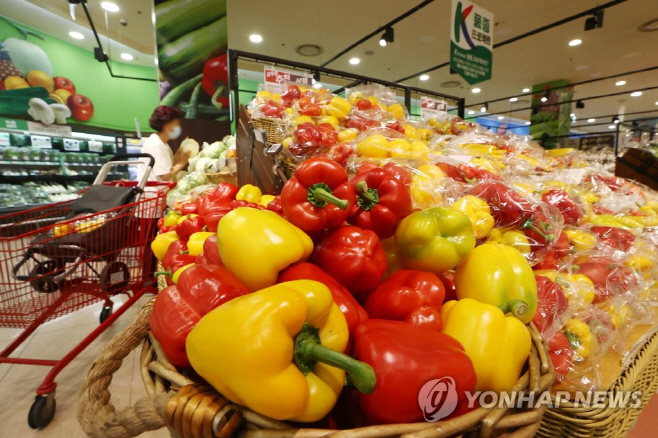 파프리카 연합사진
