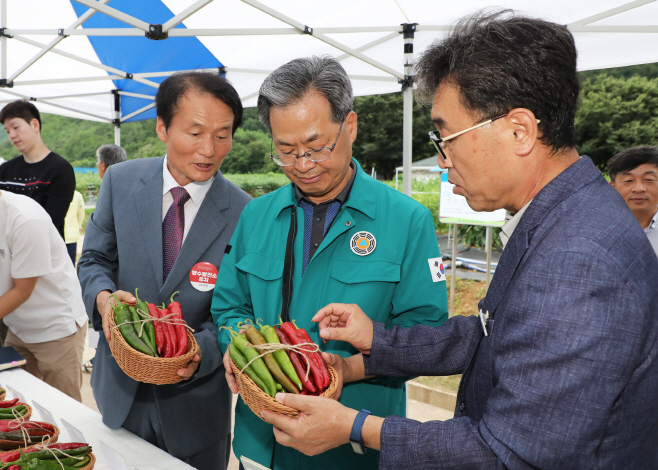 3-3 사진(2023년도 영양고추 종합 평가회 개최)