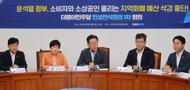 발언하는 이재명 대표