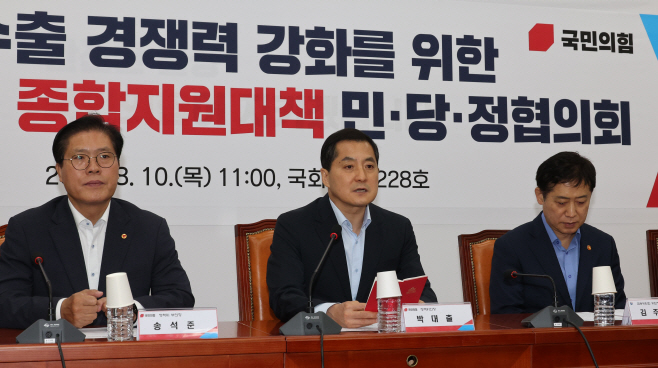 발언하는 박대출 정책위의장