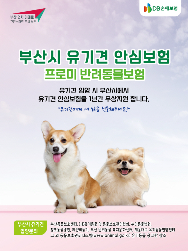2023 부산시 유기견-보도자료용(1)