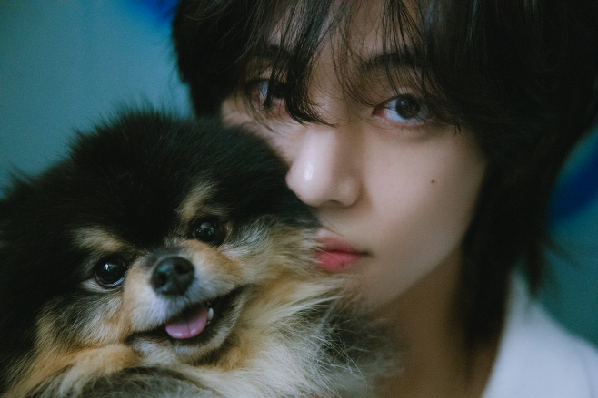 방탄소년단 뷔