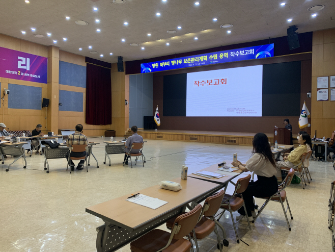 팽나무