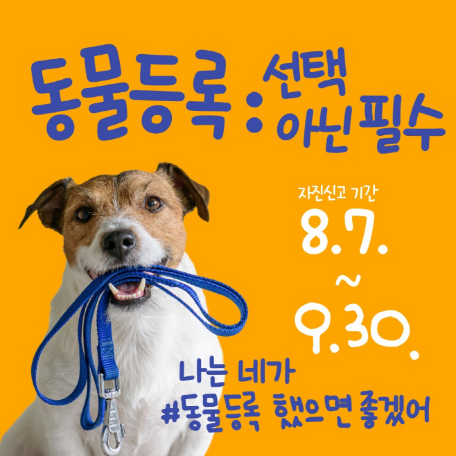 포