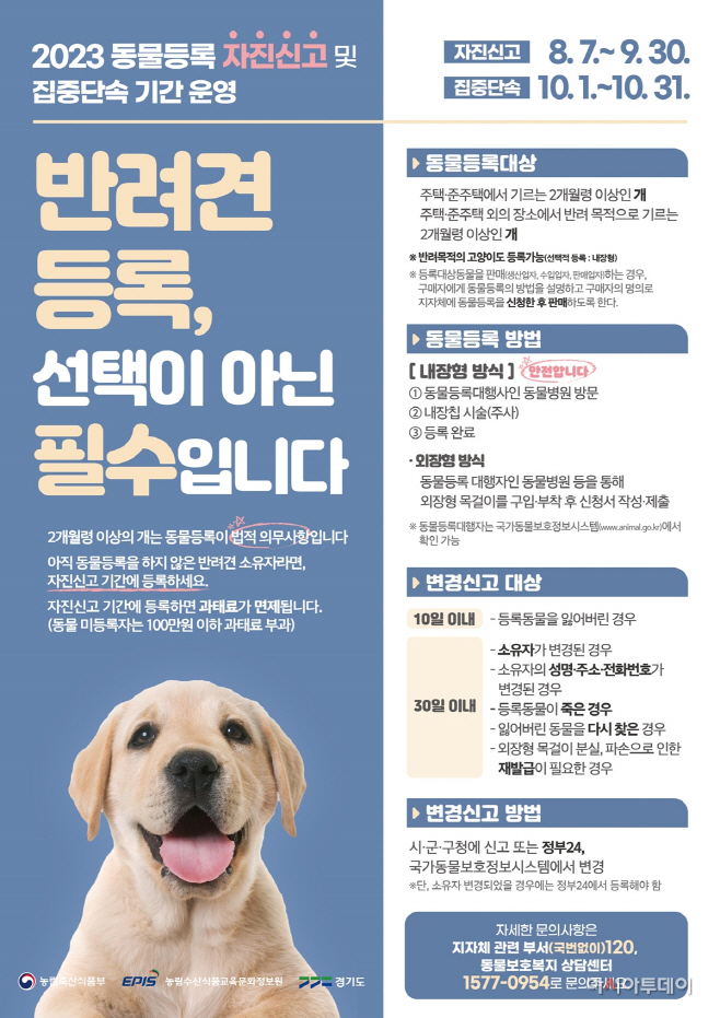 광주시