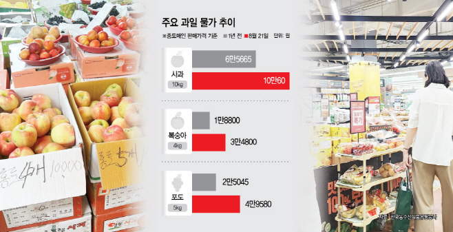 과일