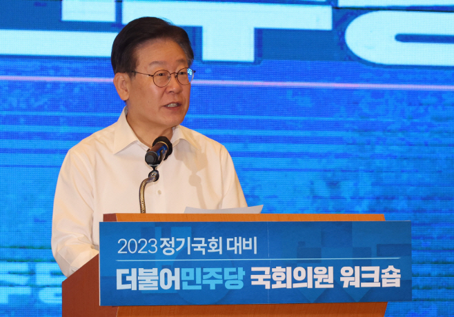 발언하는 이재명 대표