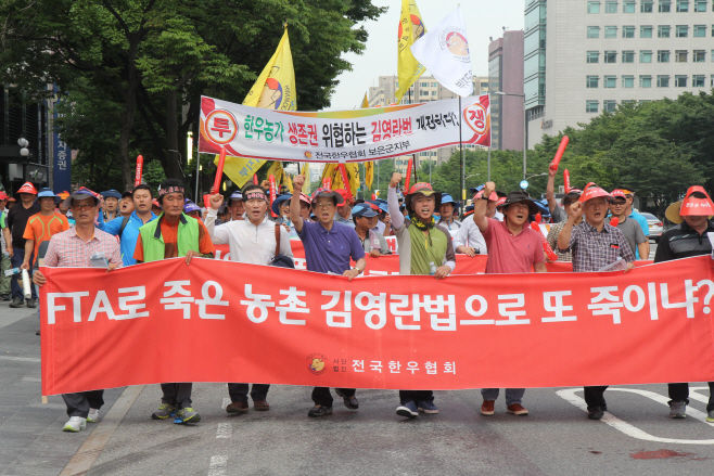 김영란법서울집회0721-1