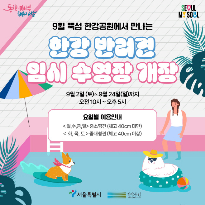 반려견+수영장+포스터