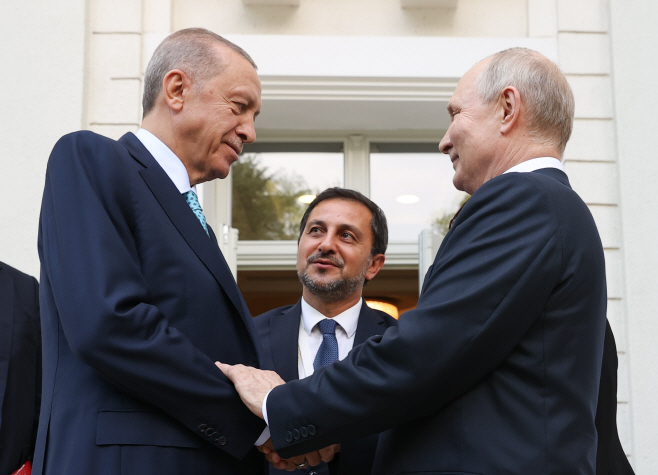 Presidents of Russia and Turkey meet for talks in Sochi