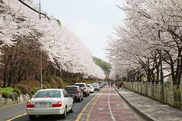 광교산 마루길