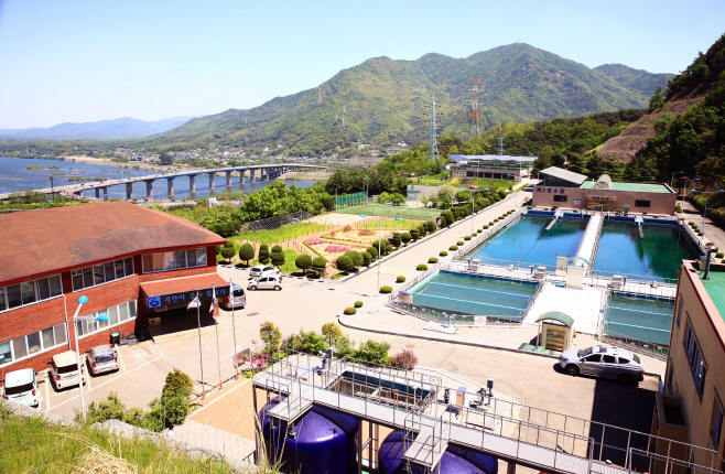 수도