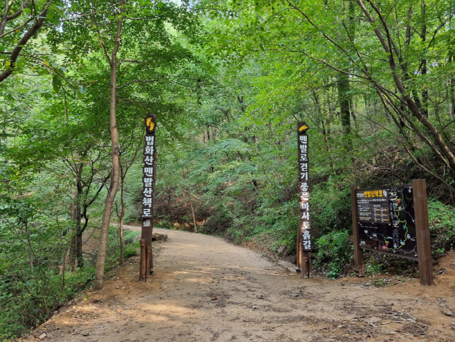 법화산에 맨발 산책로