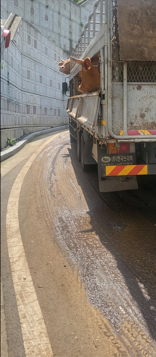 KakaoTalk_20230906_163610686