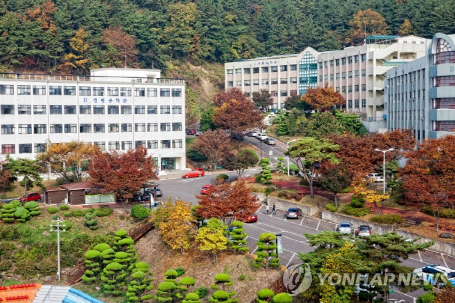 한국국제대