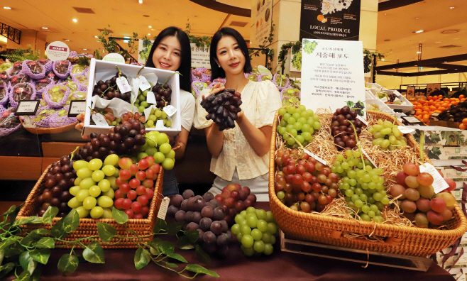 신세계百, 포도의 신세계 행사 열어 (가로 1)