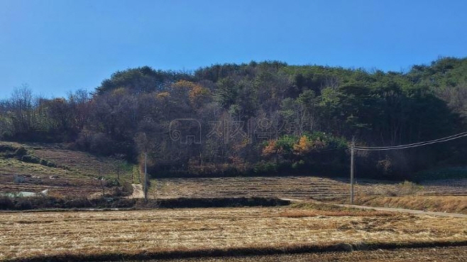 망상1지구 필지 전경