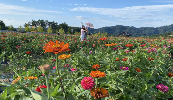 사진자료 (1)