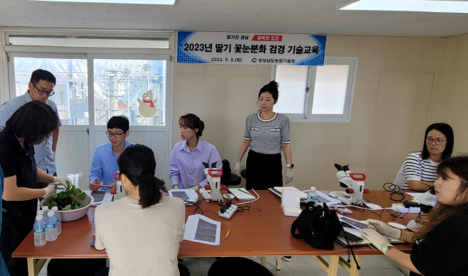 꽃눈분화검경교육
