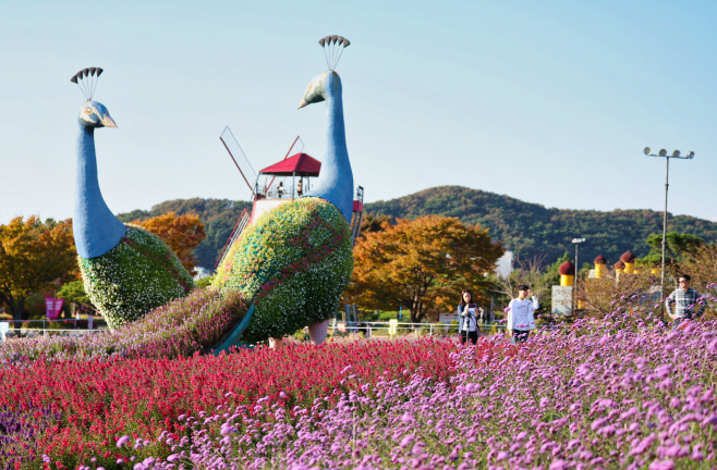 태안꽃지해안공원서 15일부터 ‘2023 태안 가을꽃박람회’ 개최
