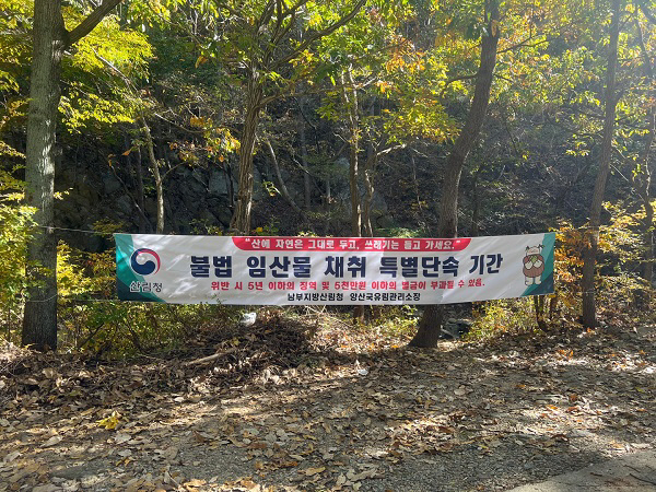 관련사진 (8)