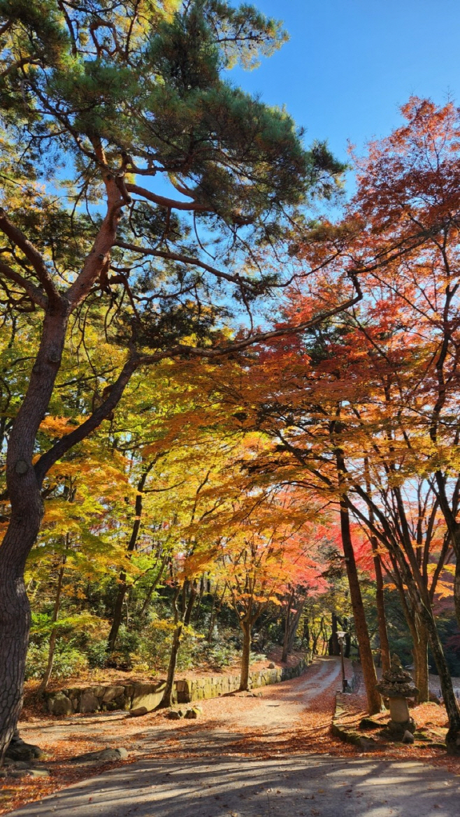 전남도
