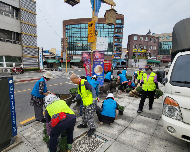20230920-내일동, 가을향기 가득한 국화꽃 식재(1)