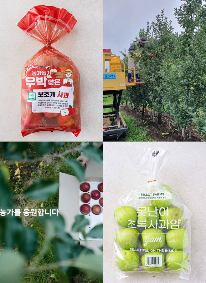 [쿠팡 이미지] 농가돕기 우박맞은 보조개 사과-tile