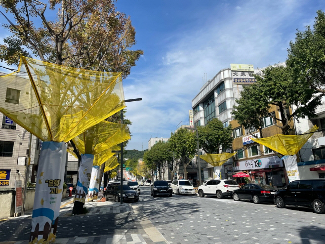 은행나무
