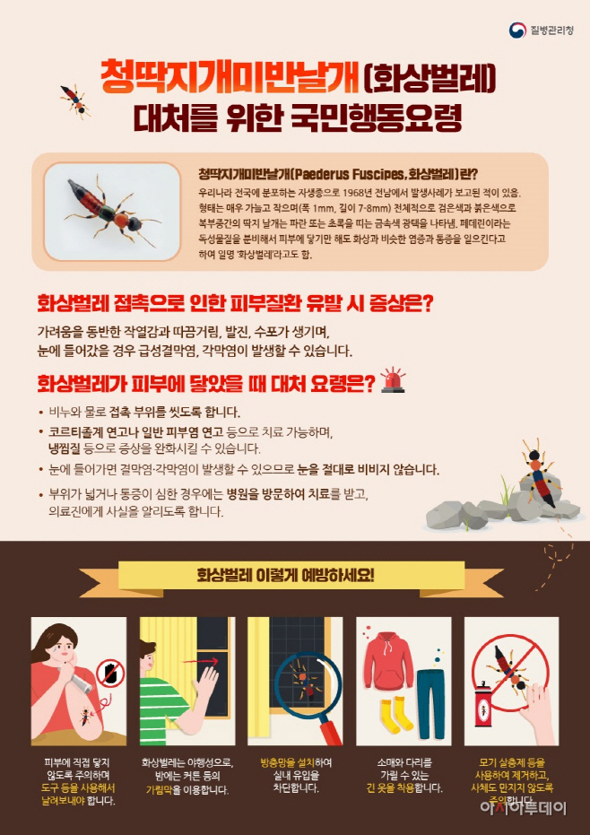 광주시