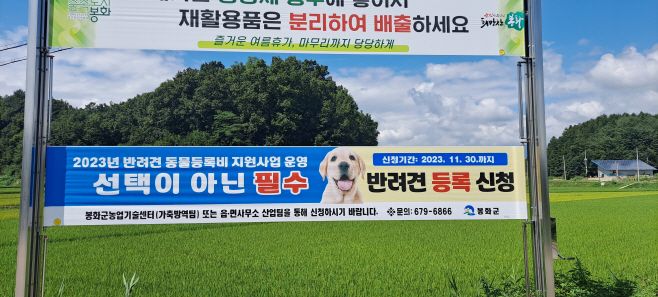 봉화군,